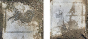 Fig. 7: Alcuni mosaici dall’ambiente A 46 (foto: Giovanni Murro).